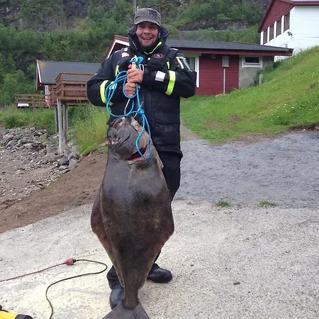 Elvegard Fjordcamp 캠프장 *