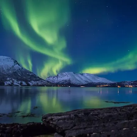 Elvegård Fjordcamp * Grov