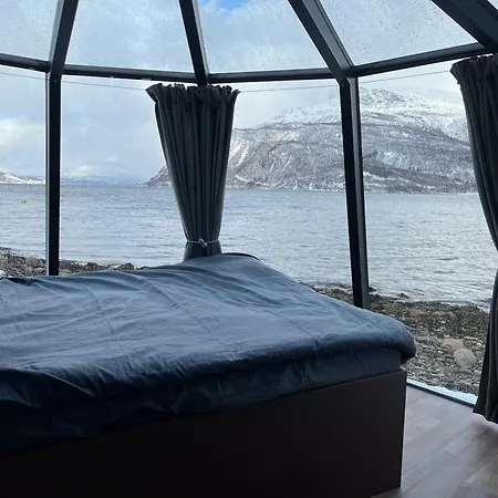 Elvegard Fjordcamp Campeggio