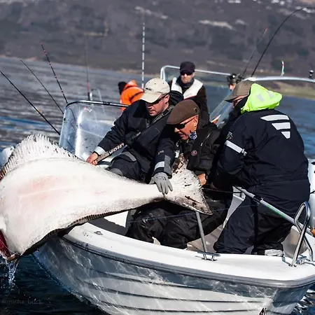 Elvegard Fjordcamp Grov