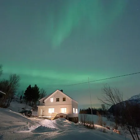 Elvegard Fjordcamp Camping