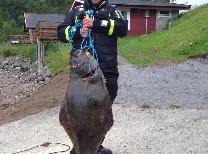 Elvegard Fjordcamp Camping *