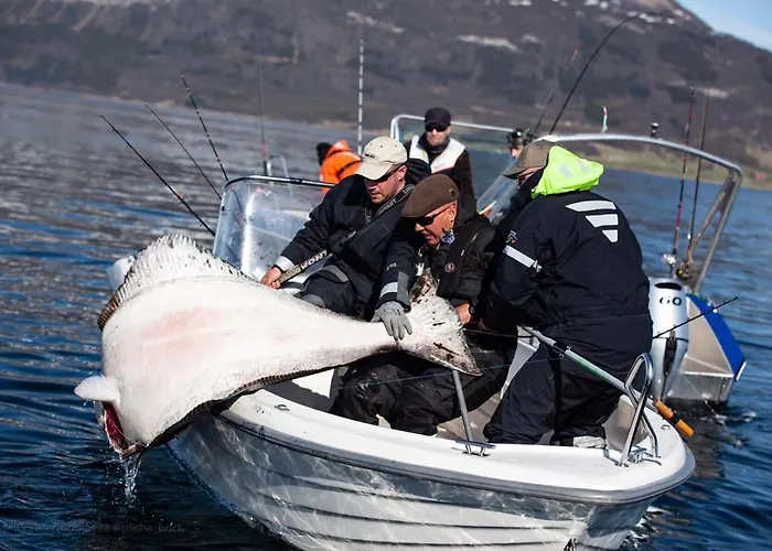 Elvegard Fjordcamp Grov