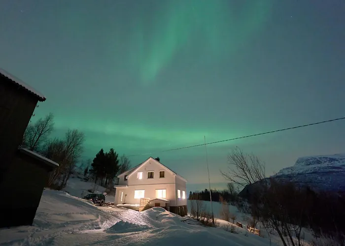 Elvegard Fjordcamp אתר קמפינג