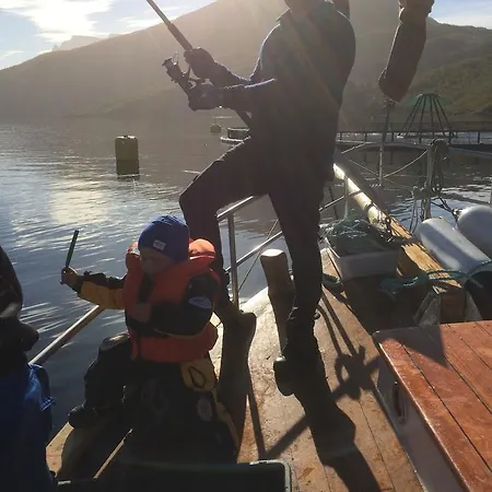 Camping Elvegard Fjordcamp *